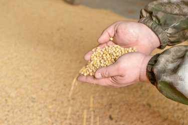 Similar image 21467646