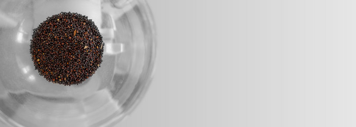 Similar image 21467650