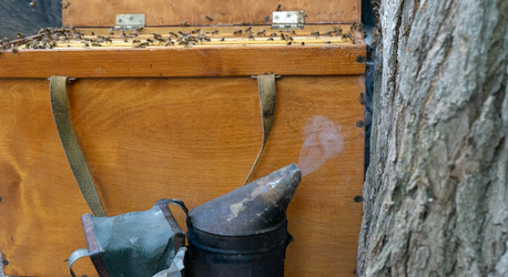 Similar image 21467654