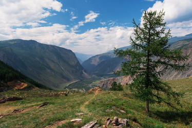 Similar image 21463492