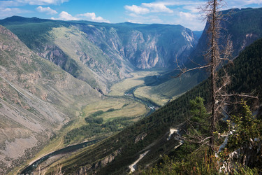 Similar image 21463495