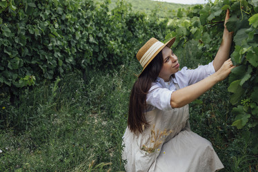 Similar image 21464018