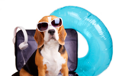 Similar image 21460101