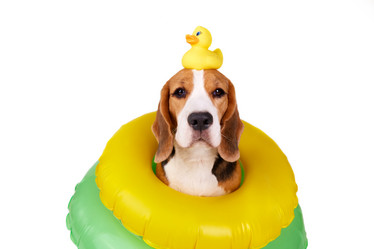 Similar image 21460111