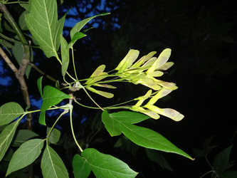 Similar image 21449410