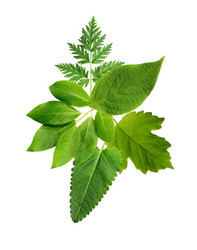 Similar image 21470410