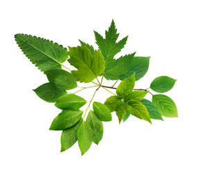 Similar image 21470411