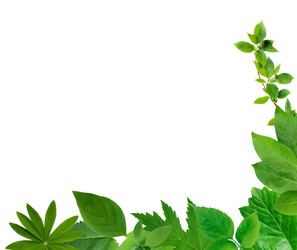 Similar image 21470415