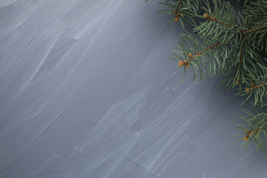 Similar image 21469445