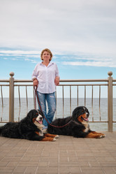 Similar image 21457670