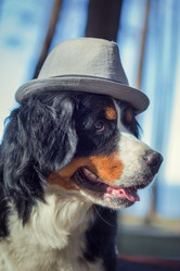 Similar image 21457679