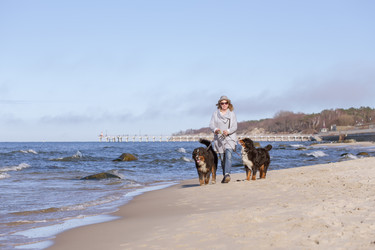 Similar image 21457690