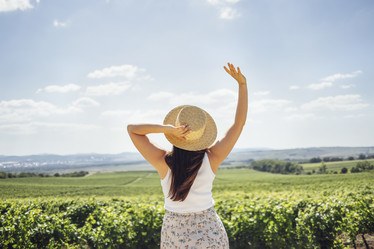 Similar image 21464055