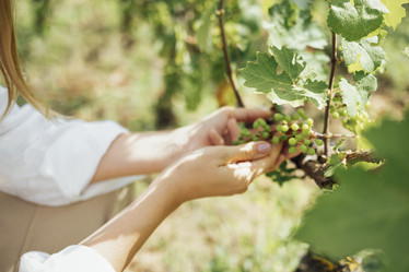 Similar image 21464074