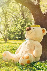 Similar image 21458575