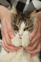 Similar image 21458248