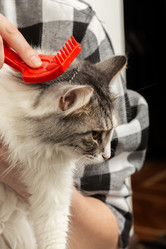 Similar image 21458264