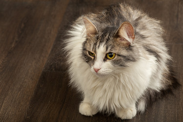 Similar image 21458269