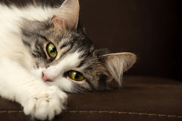 Similar image 21458280