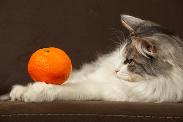 Similar image 21458282