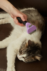 Similar image 21458285