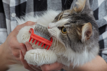 Similar image 21458286