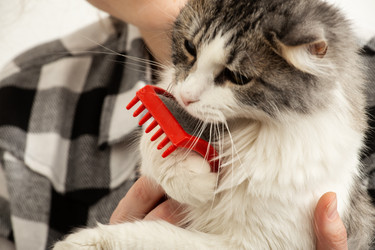 Similar image 21458294