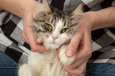 Similar image 21458630