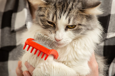 Similar image 21458637