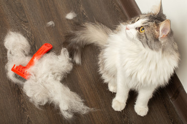 Similar image 21458646