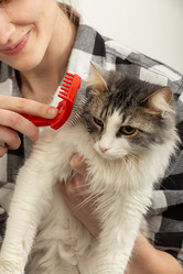 Similar image 21458658