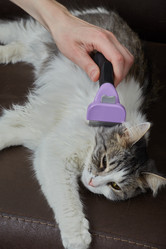 Similar image 21458660