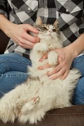 Similar image 21458662