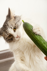 Similar image 21458664