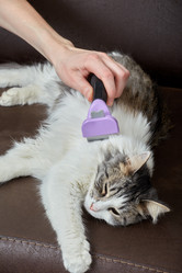 Similar image 21458666