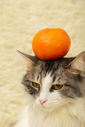 Similar image 21458668