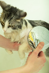 Similar image 21458336