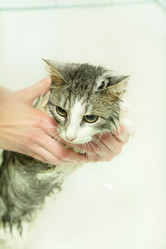 Similar image 21458340