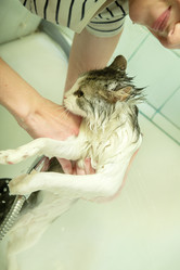 Similar image 21458765