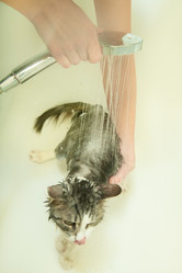 Similar image 21458781