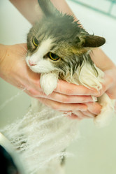 Similar image 21458791