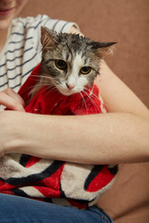 Similar image 21458795