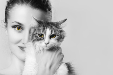 Similar image 21458810