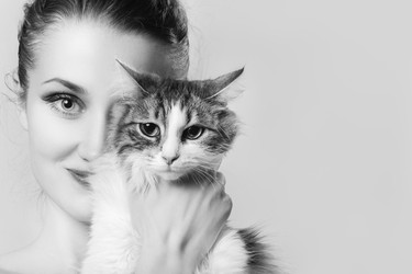 Similar image 21458812