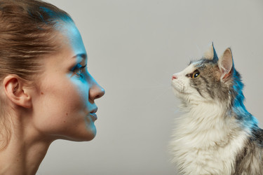 Similar image 21458816