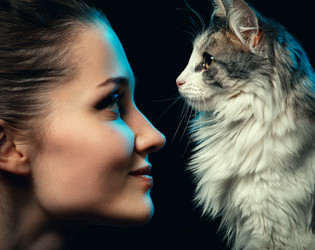 Similar image 21458818