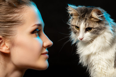 Similar image 21458819