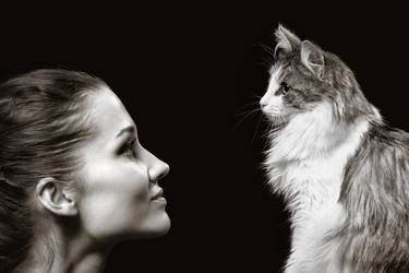 Similar image 21458822