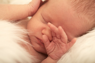 Similar image 21458825