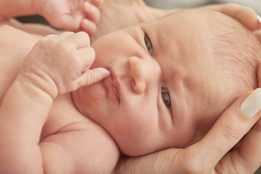 Similar image 21458844